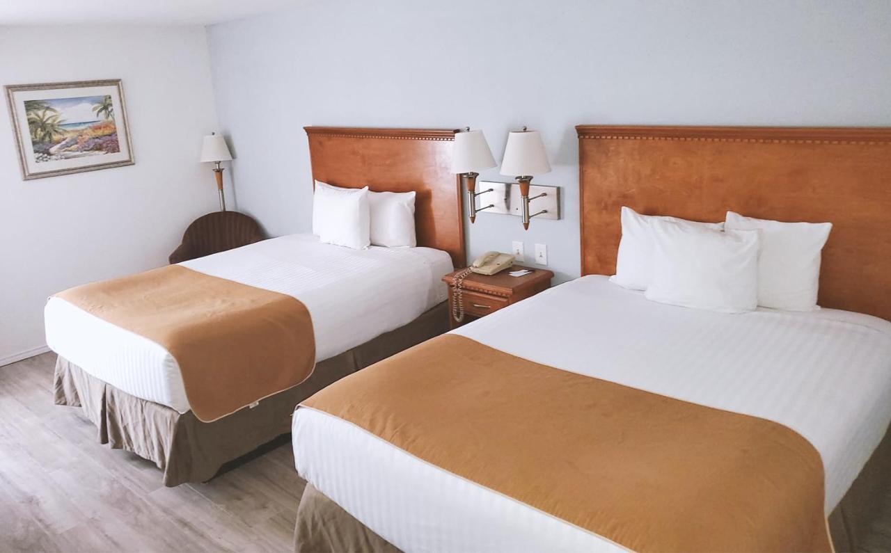 Coratel Inn & Suites By Jasper New Braunfels Ih-35 Ext 189 Exterior foto